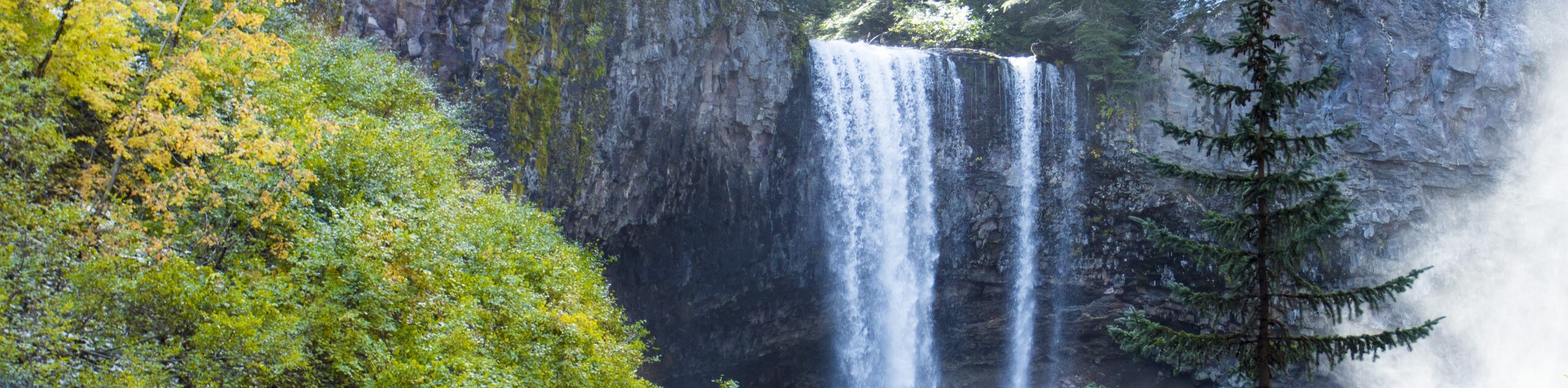 Tamanawas Falls Trail