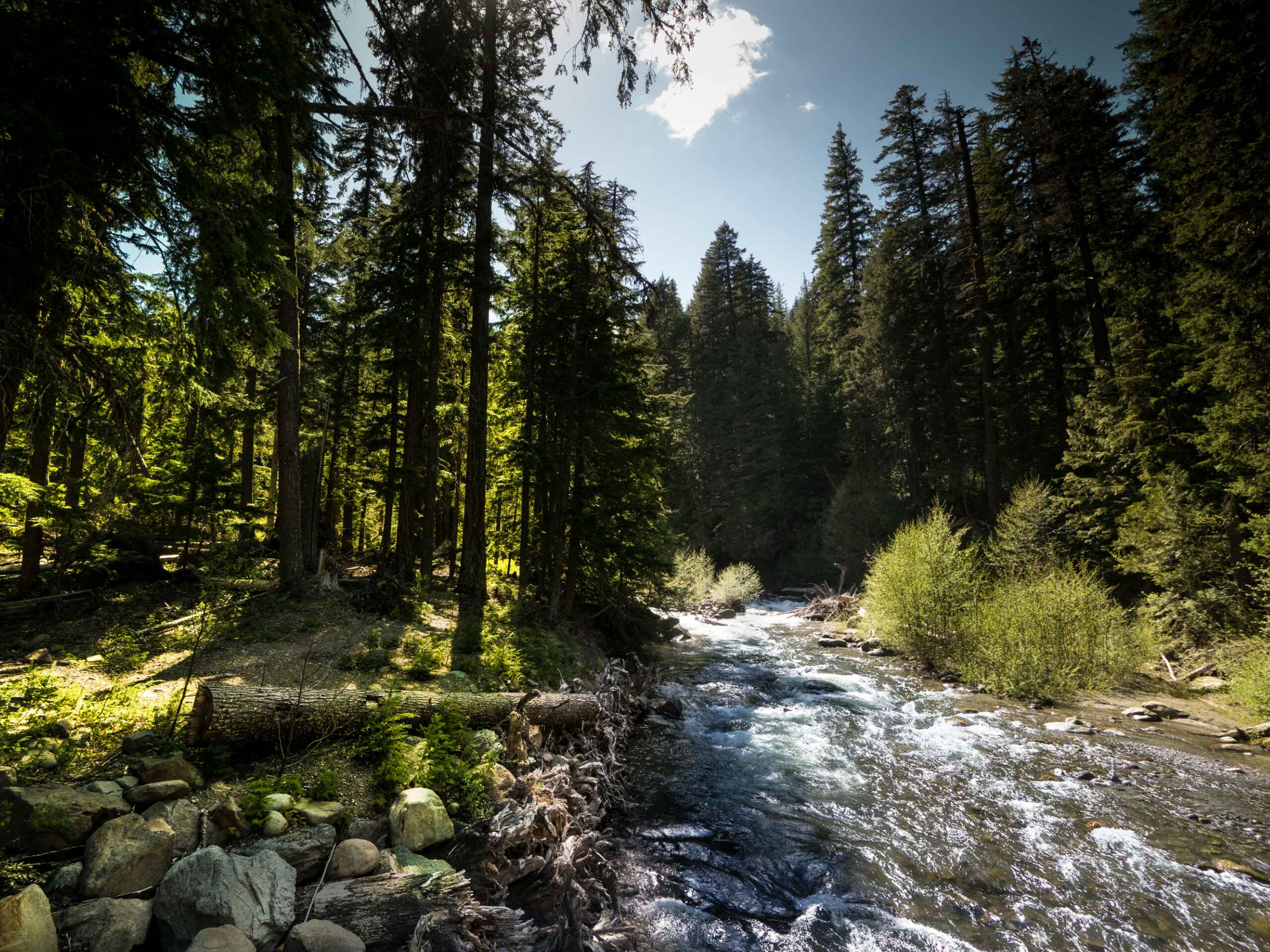 Tamanawas Falls via East Fork Trail