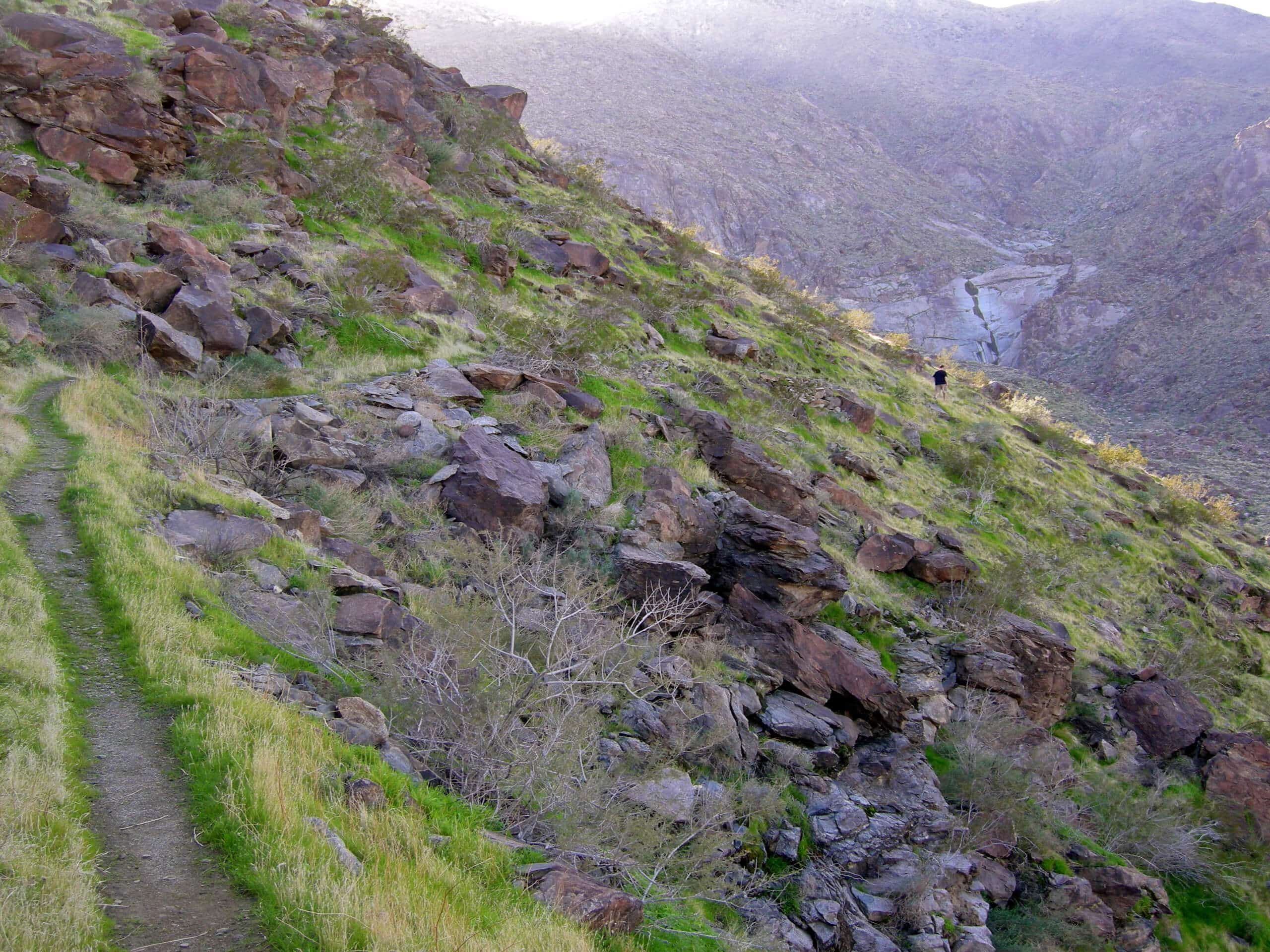 Palm Springs Museum and North Lykken Trail