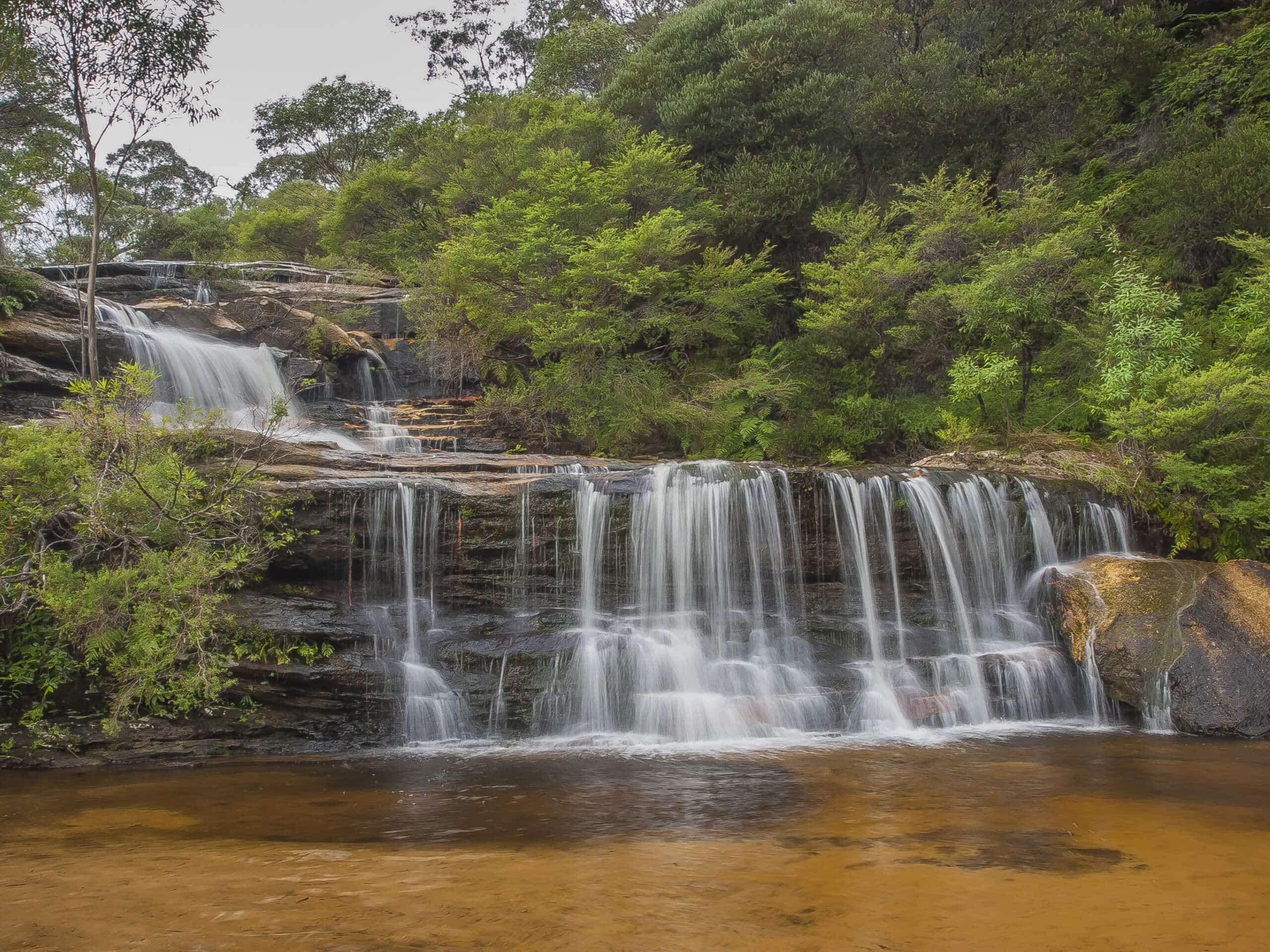 Valley of the Waters to Wentworth Falls Walk