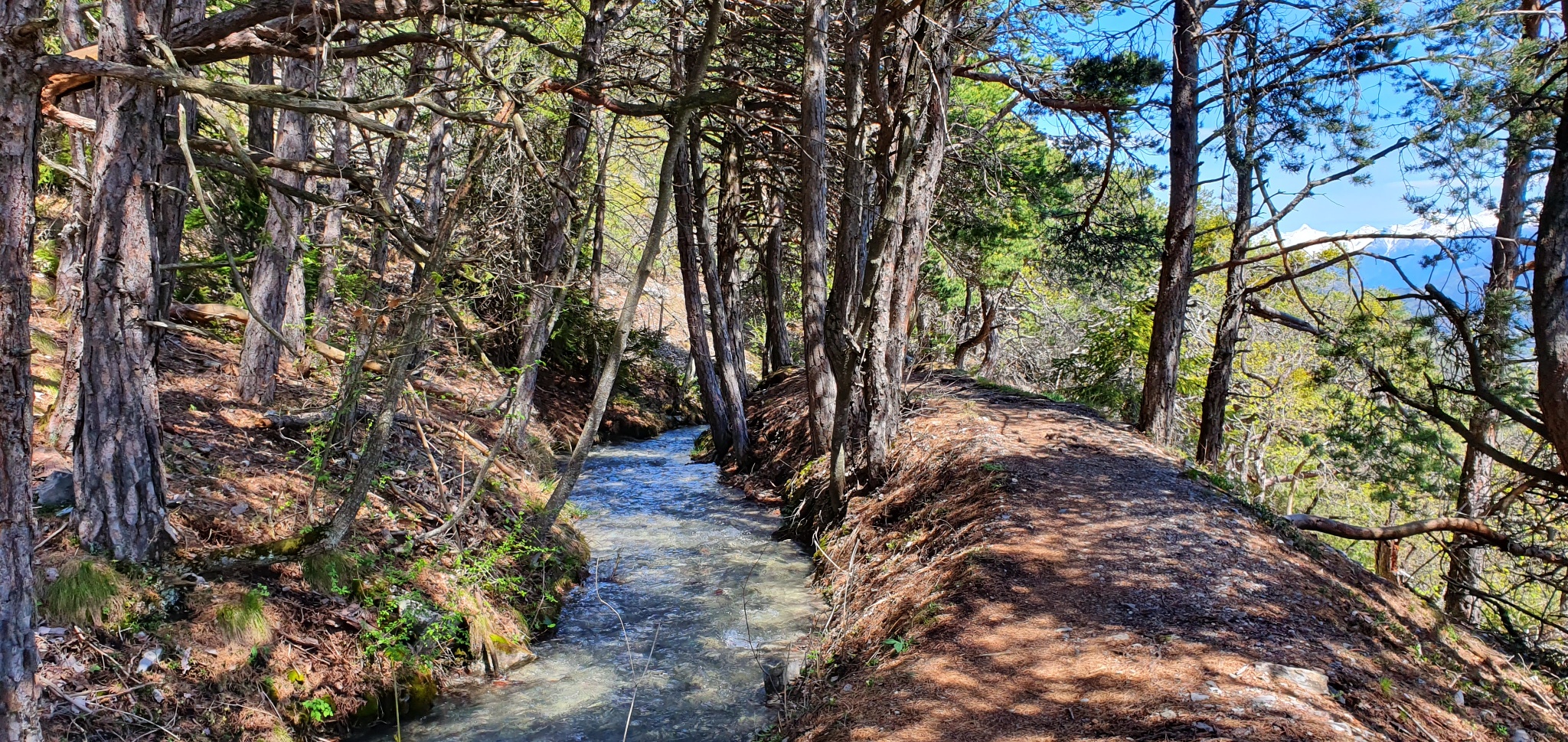 Bisse Neuf And Bisse De Varen Hike 2