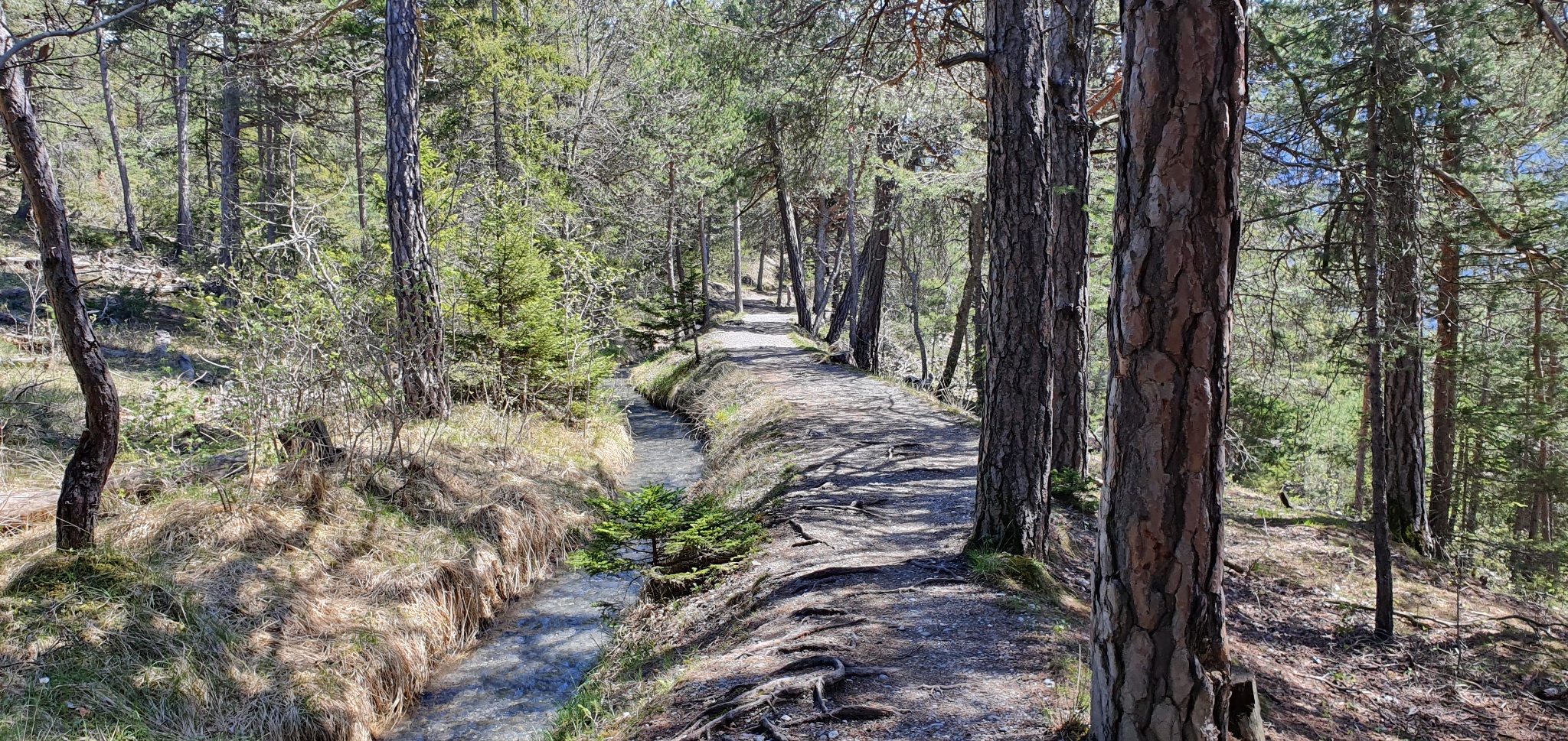 Bisse Neuf And Bisse De Varen Hike 3