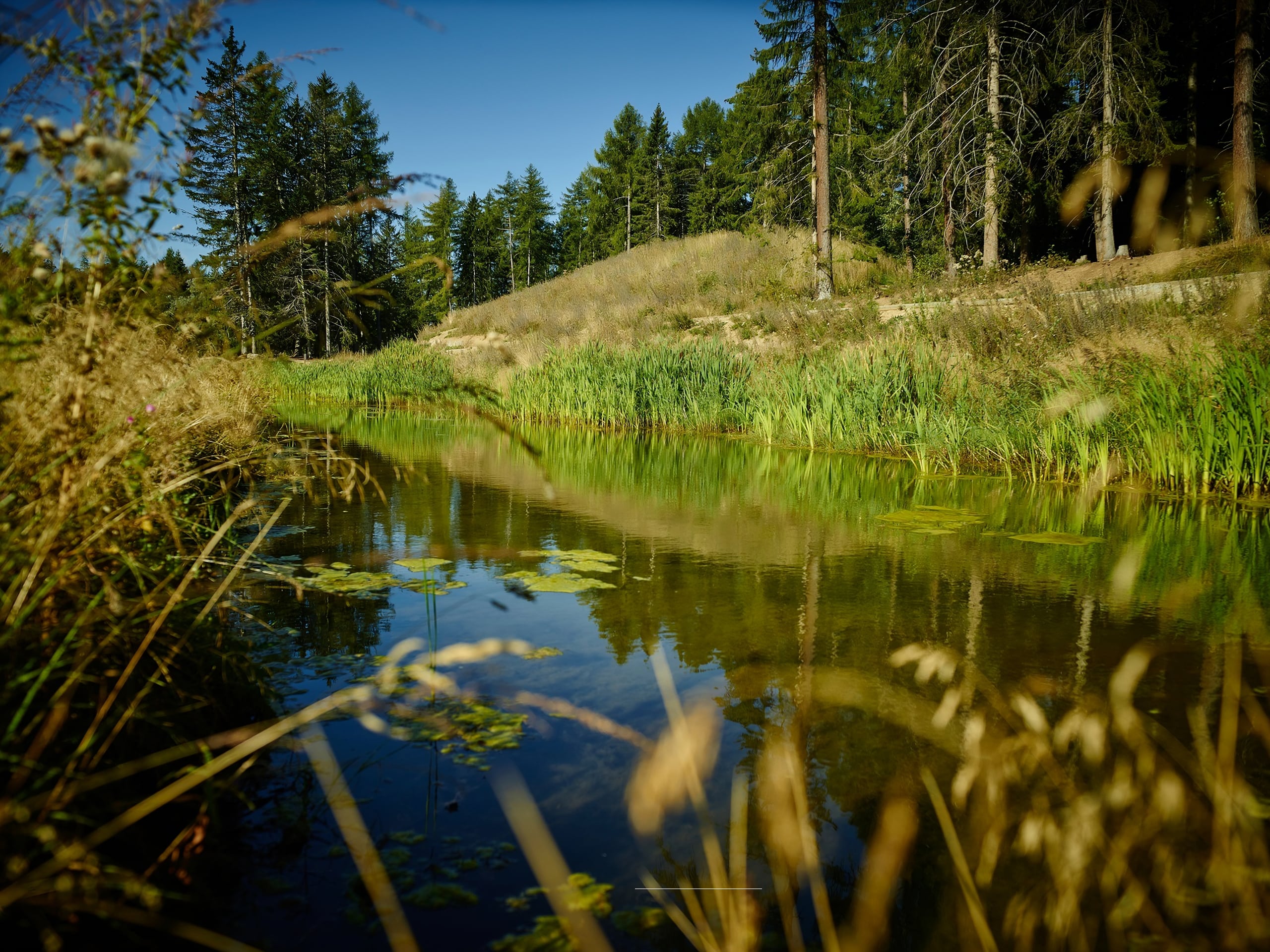 Bisse des Miriouges Hike