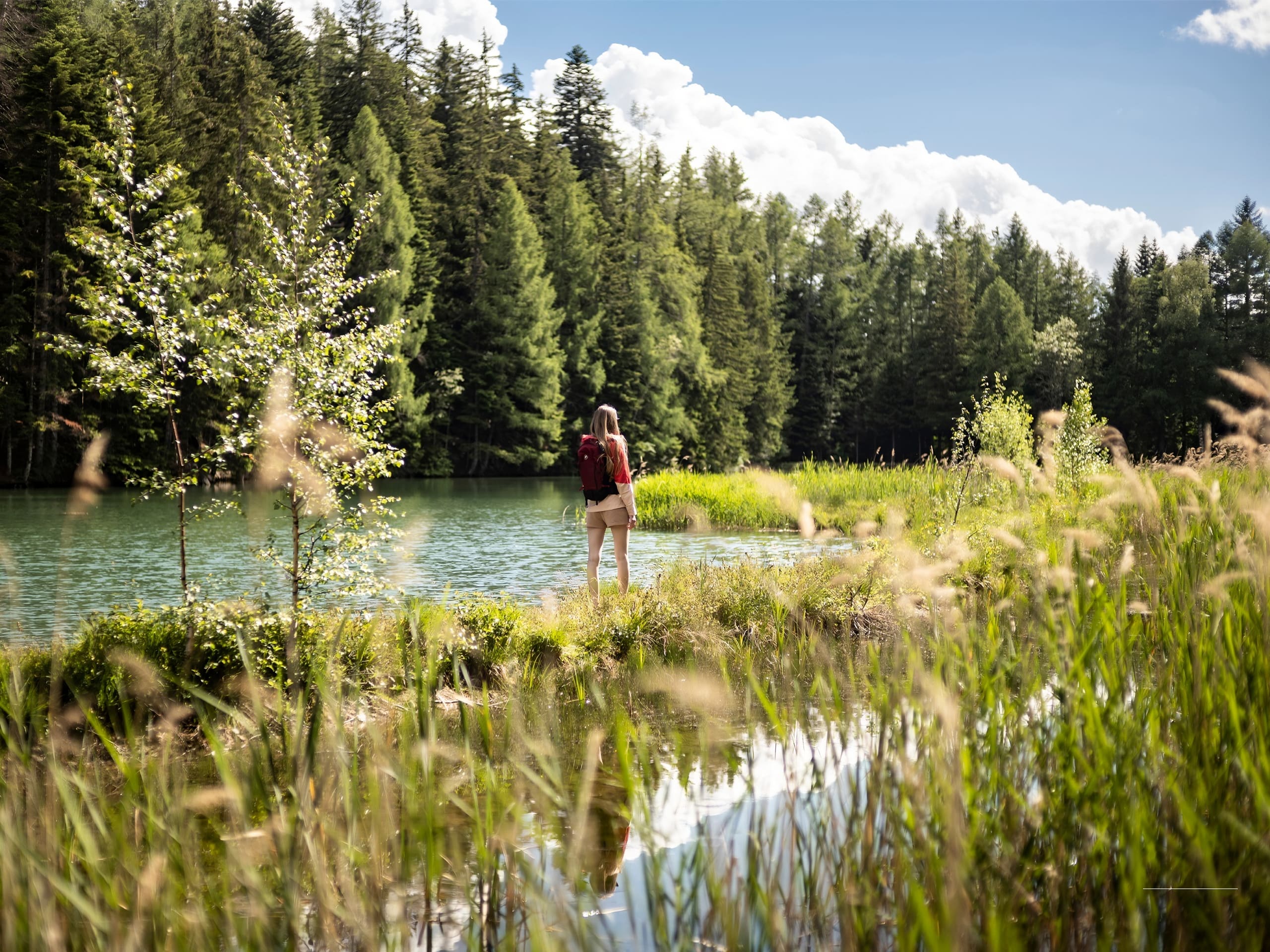 Les Etangs des Briesses Hike