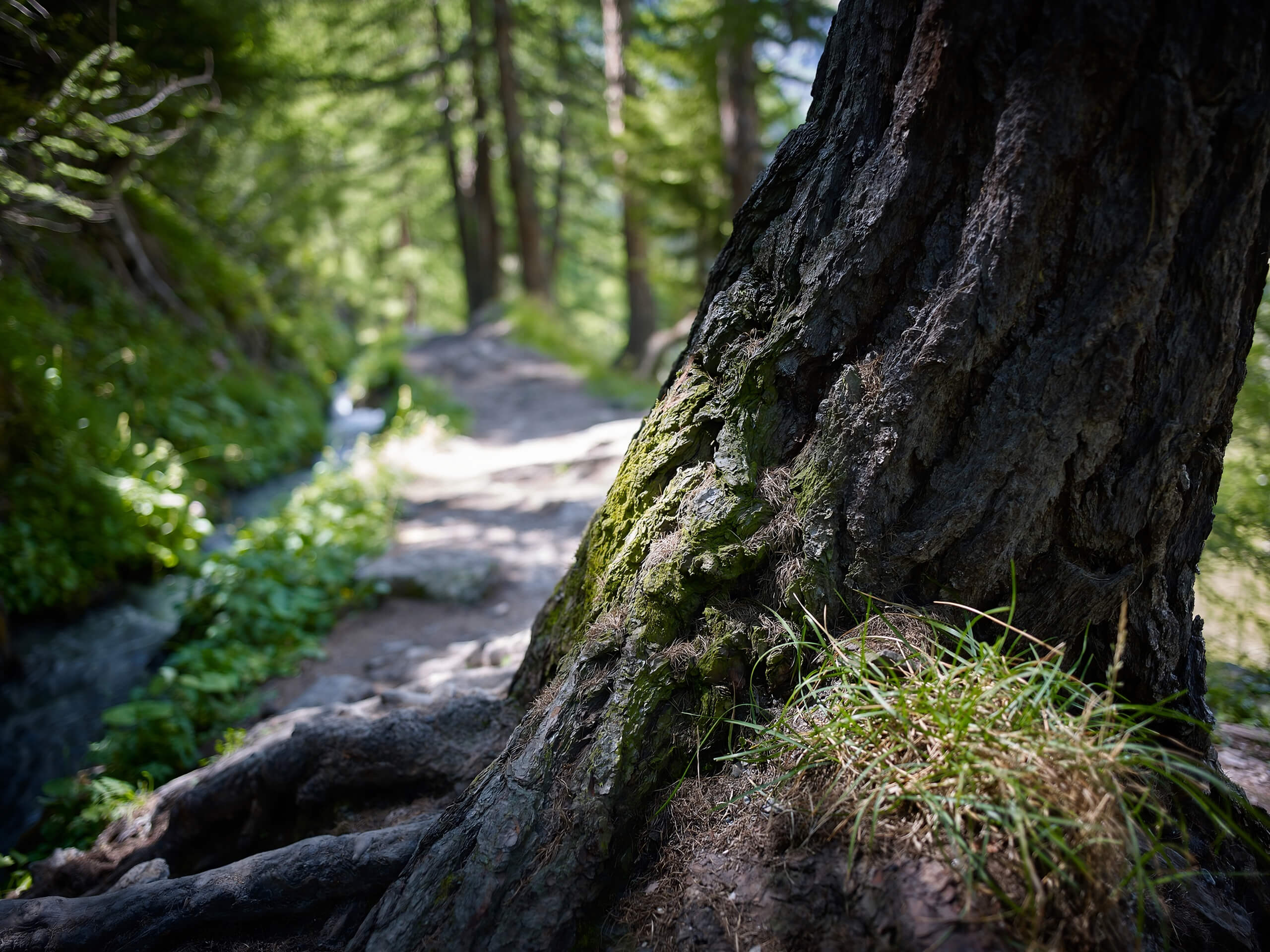 Sun Path Hike