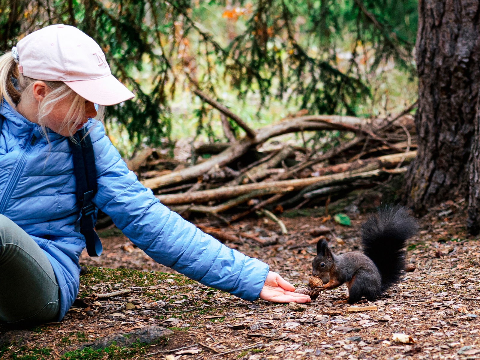 Squirrel Path Hike 1