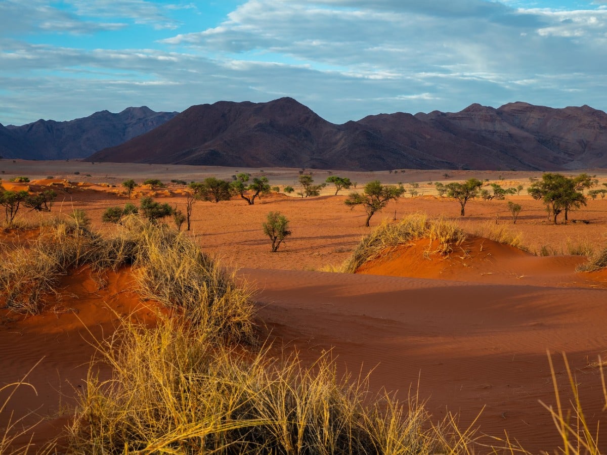 Namibia