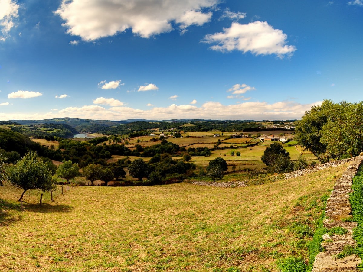 Camino