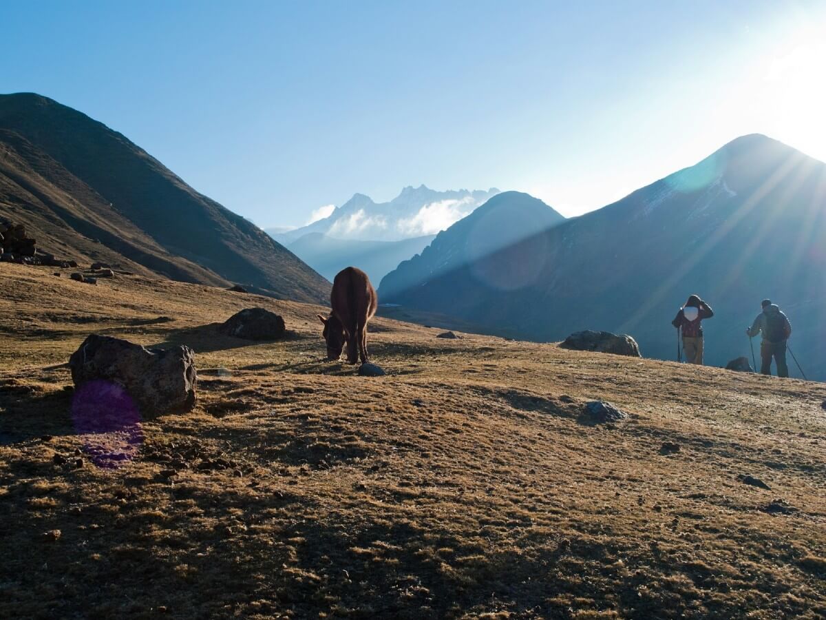 Along the Lares