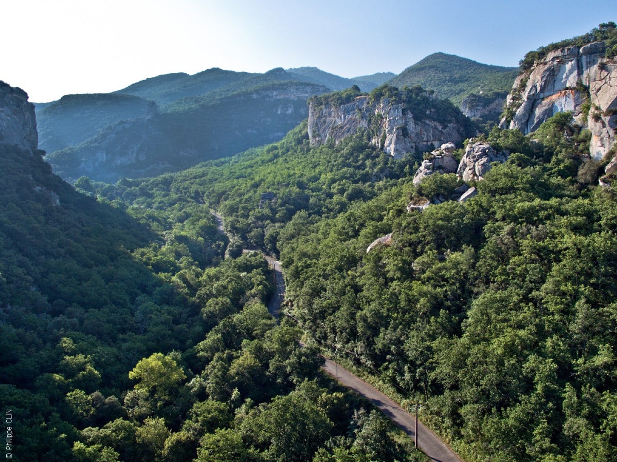 Provence Landscape