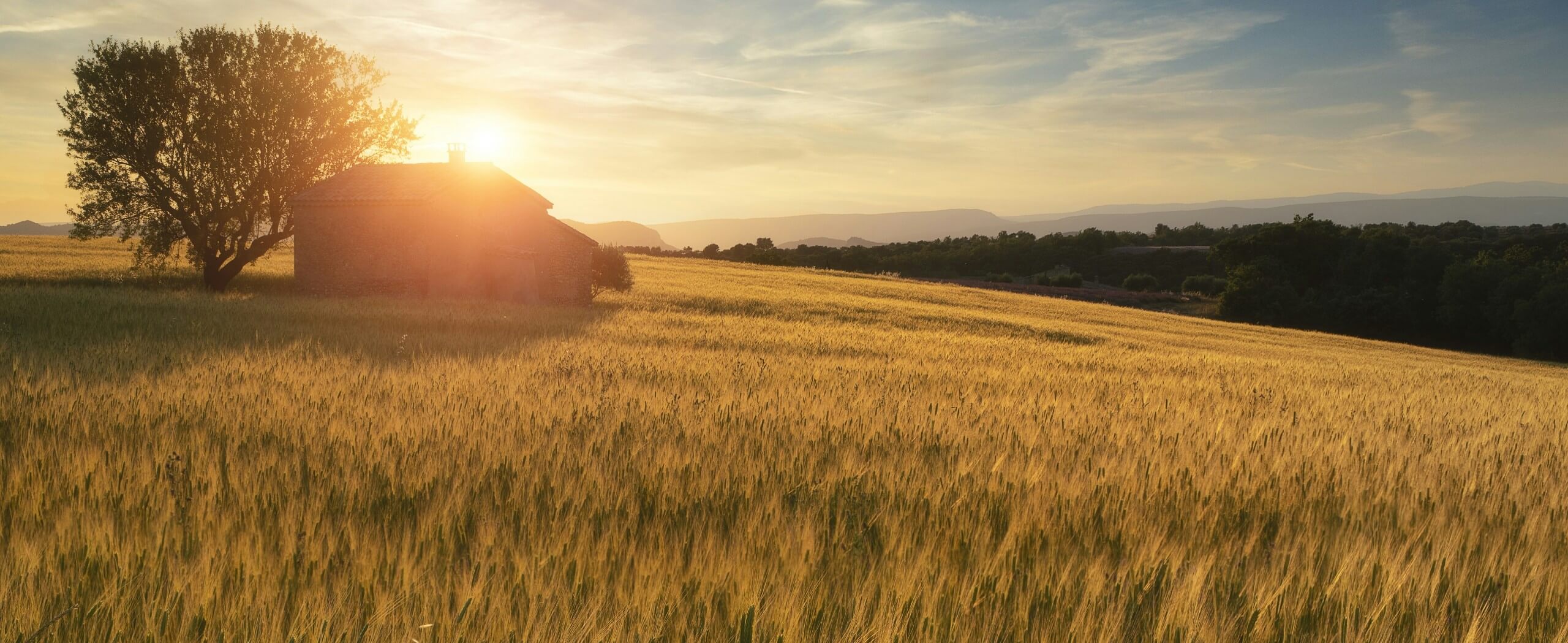 Discover the Natural Beauty of France With Our New Hiking Tours