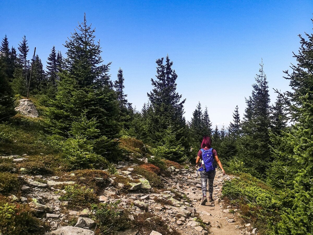 Hiking Rhodope Mountains
